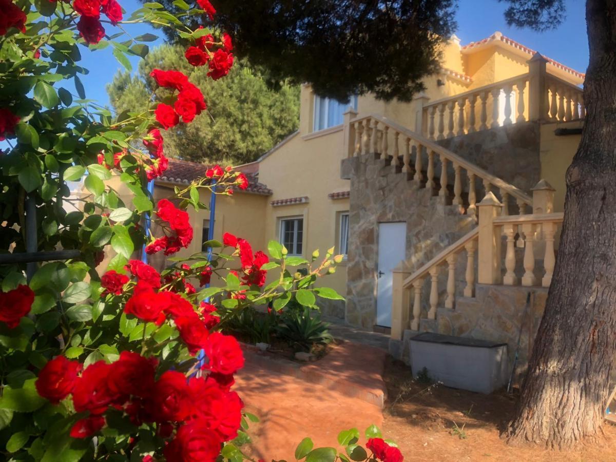 Villa Eliza Denia Exteriör bild